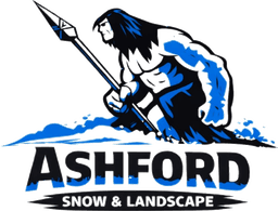 Ashford Snow & Landscape